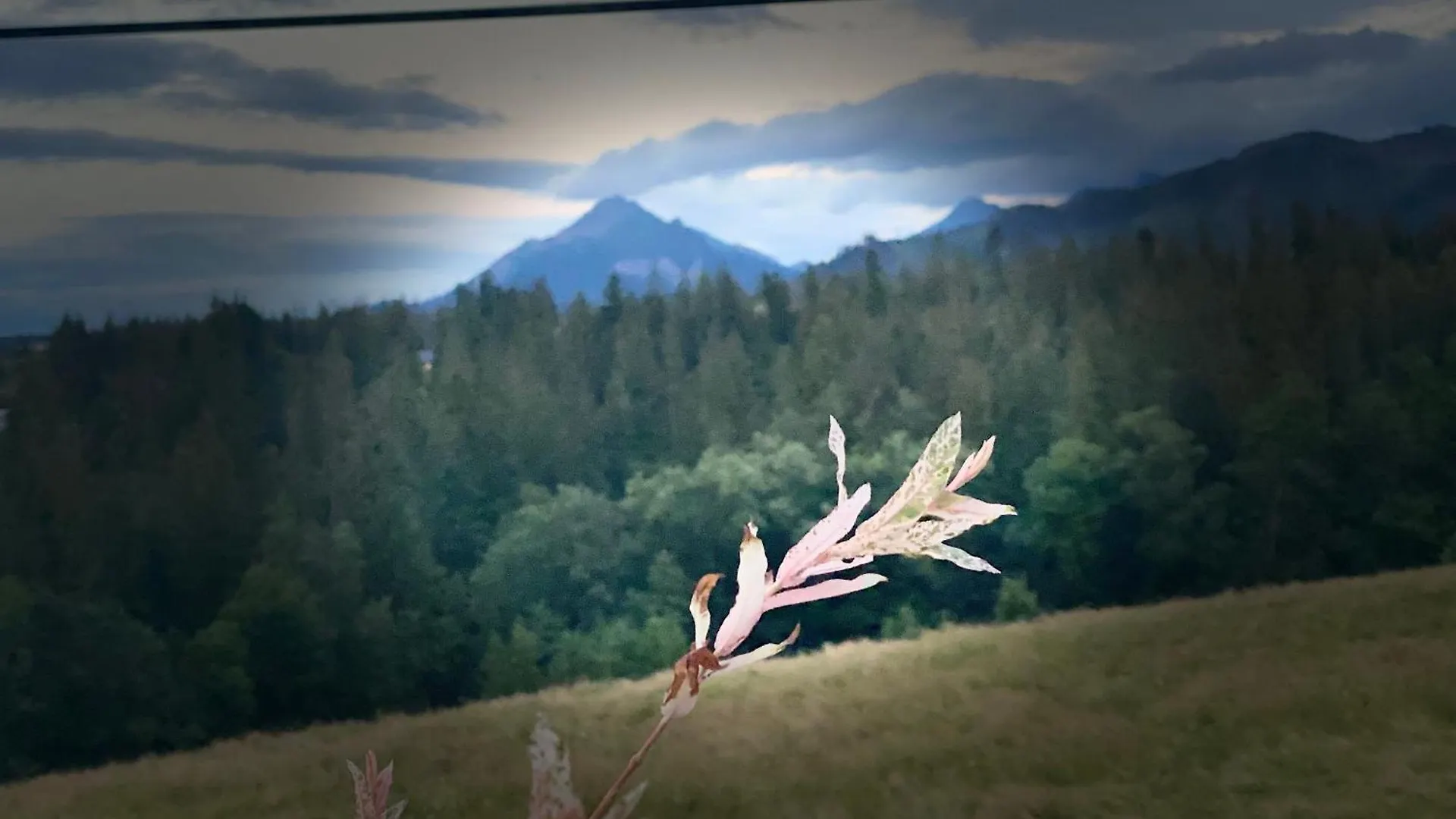 Holiday home Domki Jawor Zakopane